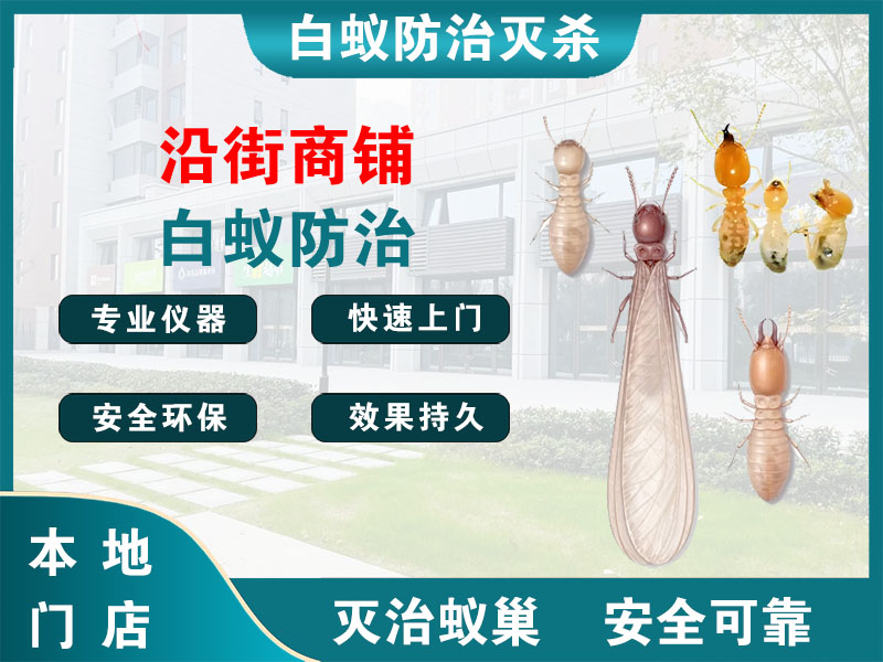 通州沿街商铺白蚁防治