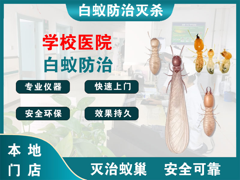 通州学校医院白蚁防治