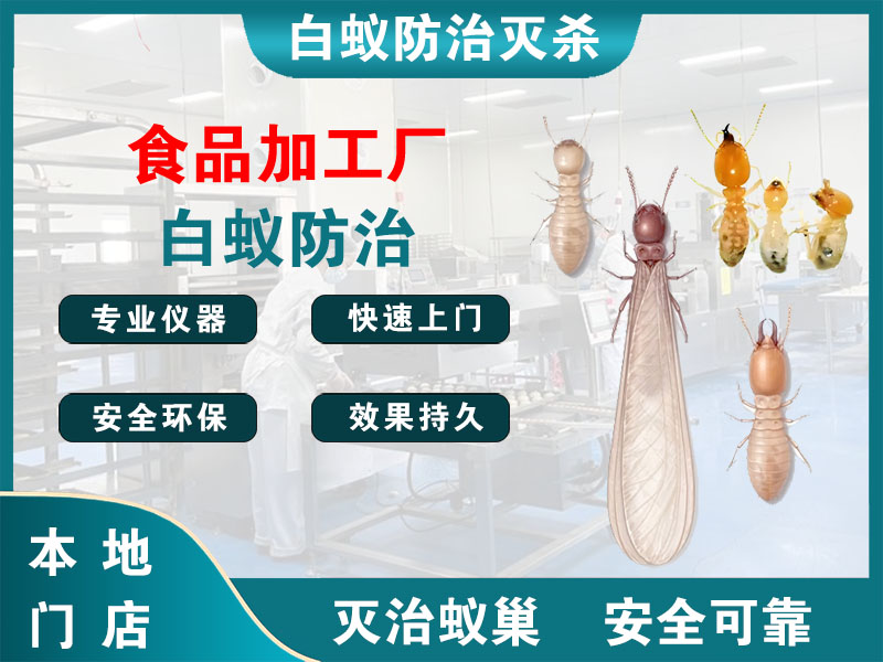 通州食品加工厂白蚁防治