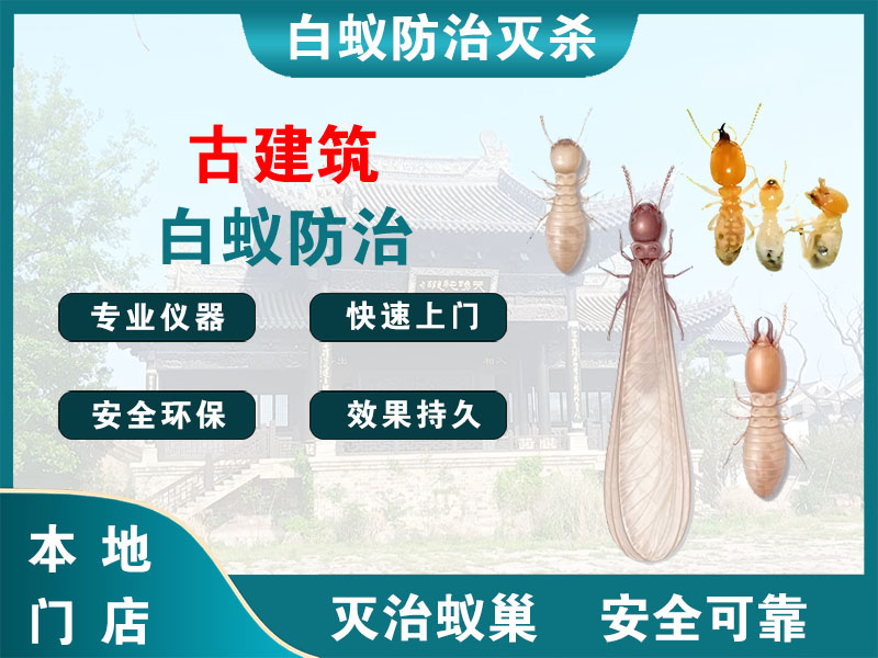 通州古建筑白蚁防治
