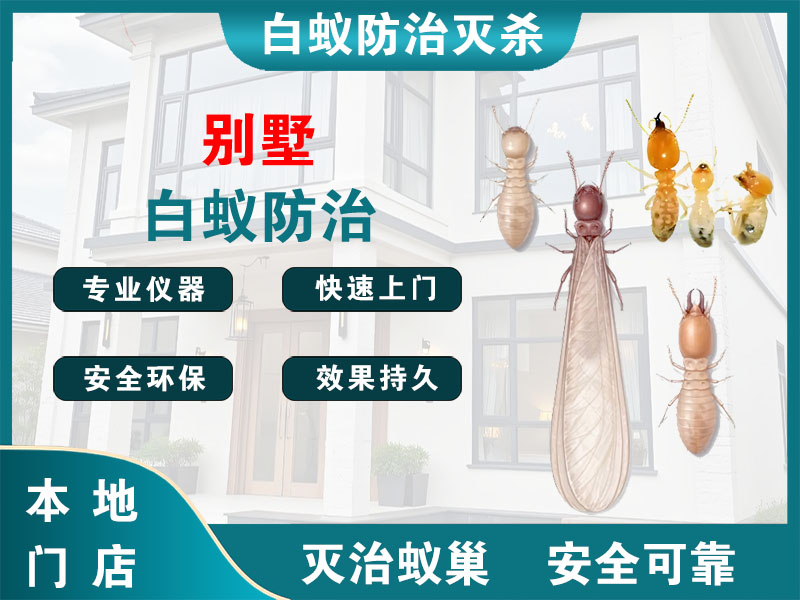 通州别墅白蚁防治