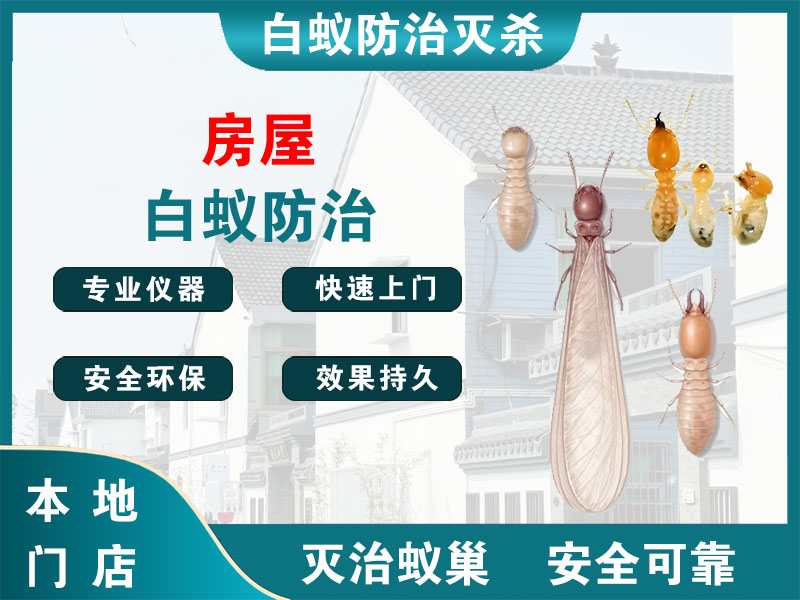 通州房屋白蚁防治